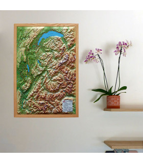 Carte en Relief des Deux Savoies 3D Map