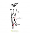 Paramotor risers with Trim ITV