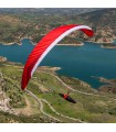 Aile de parapente Leopard Gin