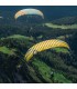 Tonic 2 Skywalk