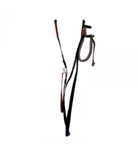 Elevators Speed Riding 2 Branches Nano Gin