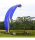 paraglider floor paramotor wing