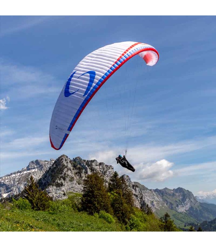 Gebrauchte Flügel Savage S Polar Supair