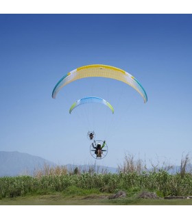 Flügel Dobermann 3 Farbe Earth