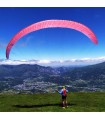 Yolo NERVURES mini wing