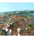 Carte en Relief du Massif des Vosges 3DMap