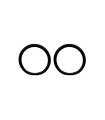 Large O'Ring Seal