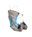 Kliff III Kortel paragliding harness