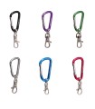 Carabiner Key ring Camp