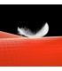 Parachute de Secours SQR Light 2 Companion