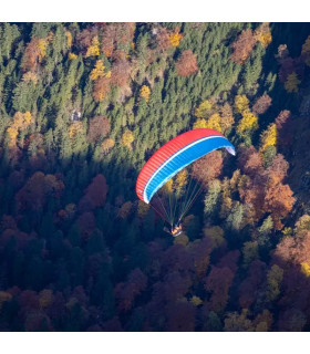 Aile de Parapente Dena UP Parapentes