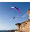 Aile d'occasion Allegro x alp - 22 - Mauve - Phi