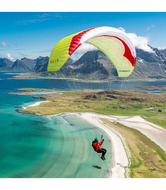 Gebrauchte Gleitschirm Calypso - M - Lime - Gin