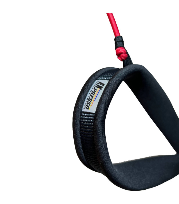 Paar Expresso Paragliding Classic T-Bar Acro Griffe