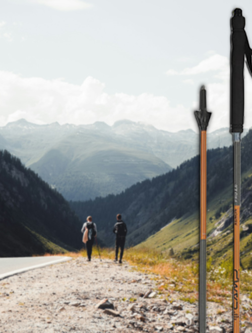 Bâtons de randonnée