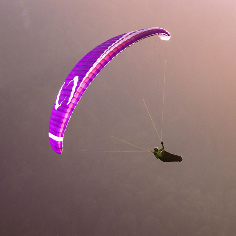 Voile de parapente violette Birdy de la marque Supair
